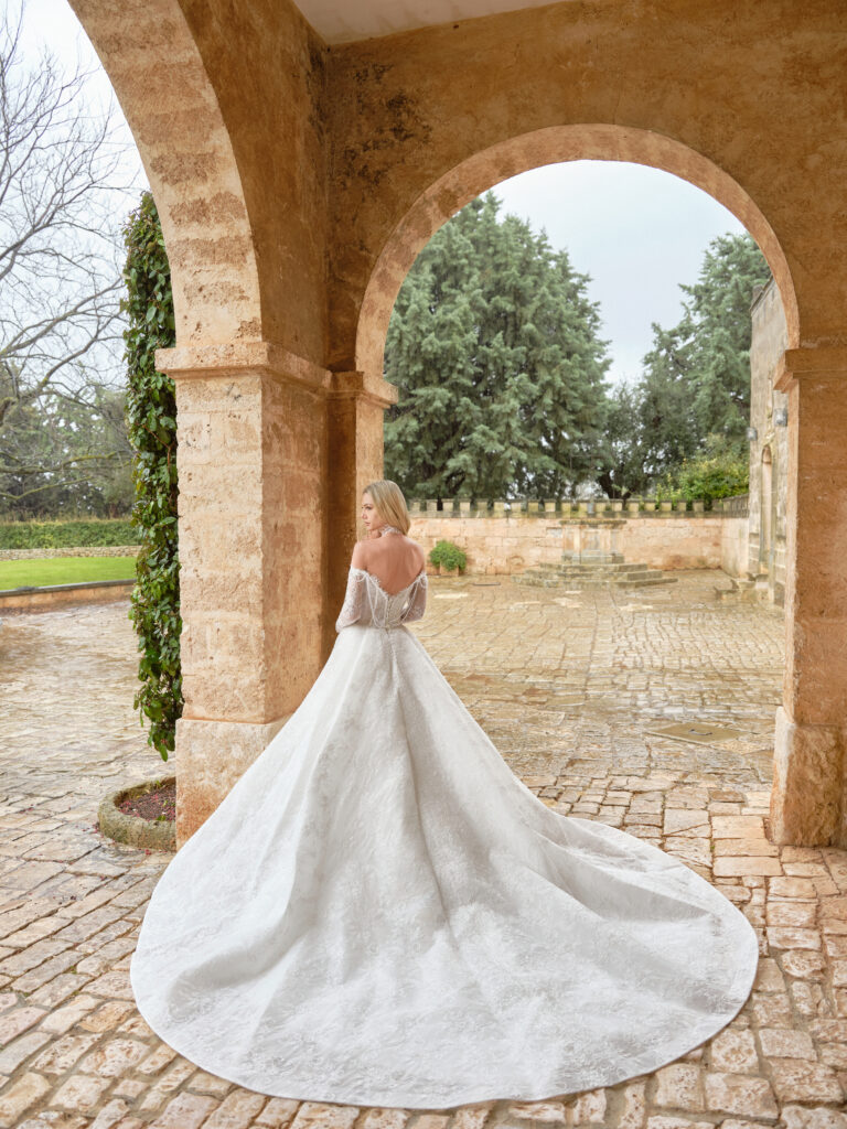 Amore Puro wedding dress back view with full skirt and long train
